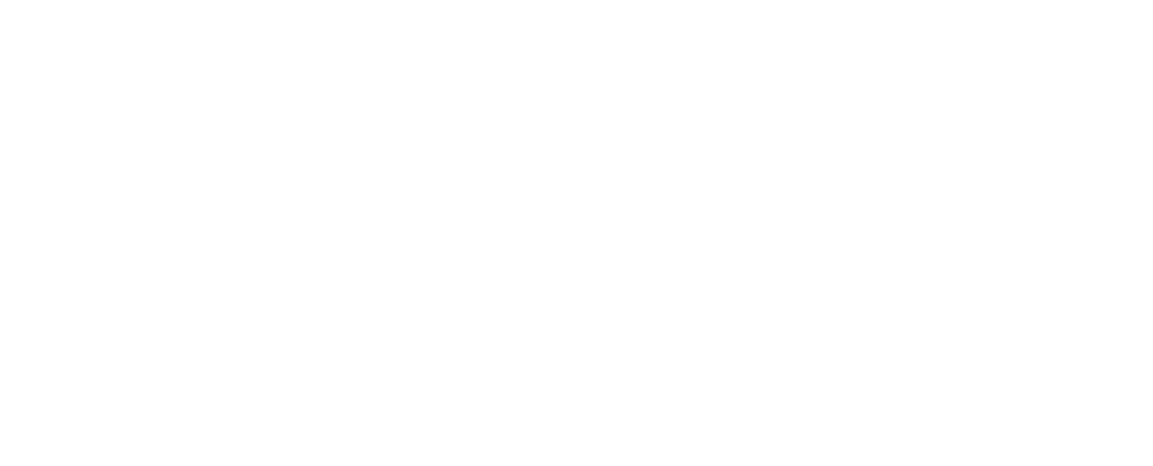 Synim Project
